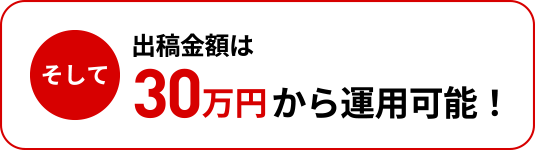 そして出稿金額は30万円（税込）から運用可能